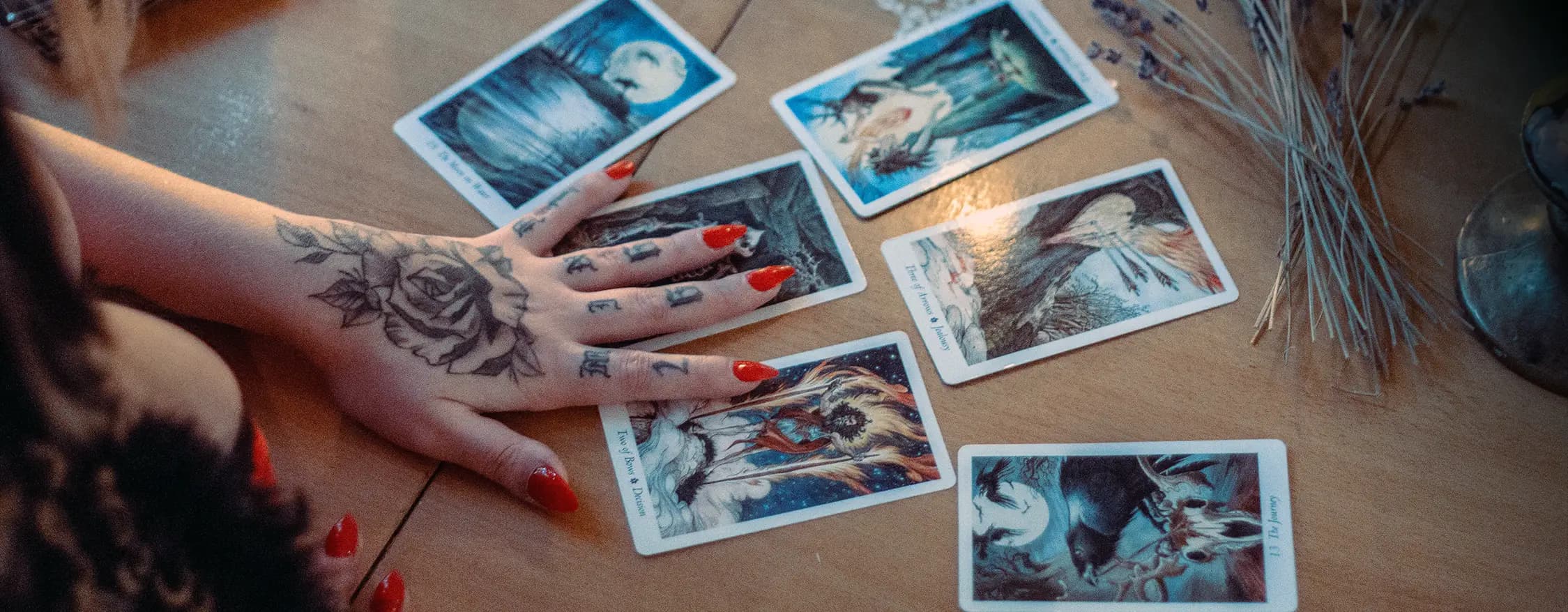 Categoria de proveedores: Tarotistas